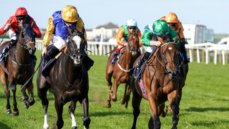 Thriller (Green Cover) wins his debut in Yarmouth
