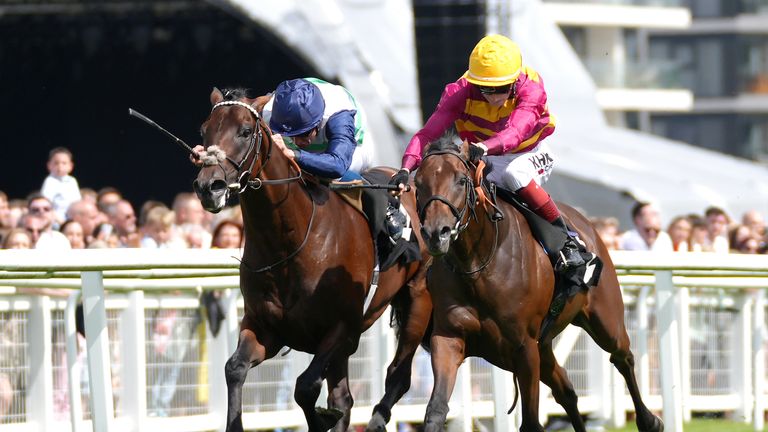 Bayside Boy was beaten by Masekela in Newbury