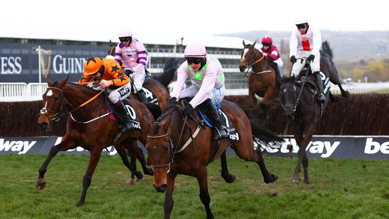 Chacun Pour Soi (pink and green) leads chase chase in Cheltenham, with Greaneteen (pink and blue) and Nube Negra (white and red) chasing