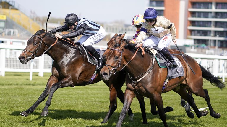 Chandette fights hard to win the Grinham Stakes
