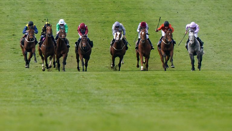 Double Or Bubble (orange and black) exits decline in Newmarket