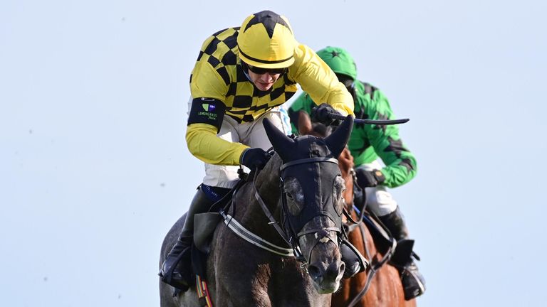 Gillard de Mesnil finished third behind L'  Homme Presse in Cheltenham