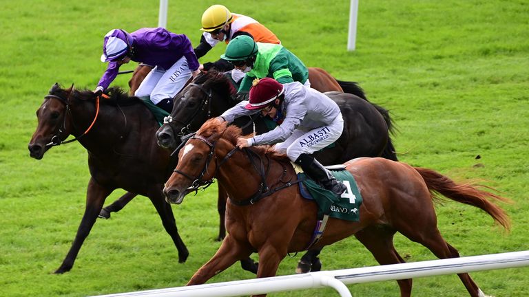Go Bears Go (purple) is defeated by the Ebro River (near the side) at Phoenix Stakes