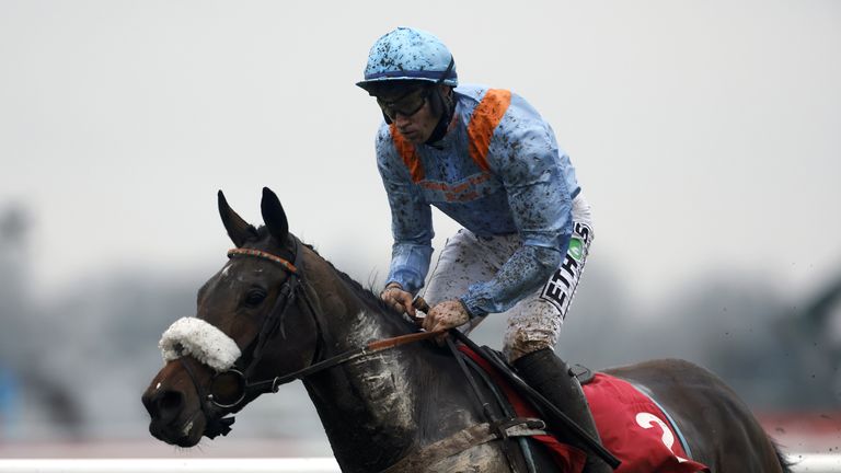 Rock Marie enjoyed a win at Kimpton on Boxing under jockey Adrian Heskin