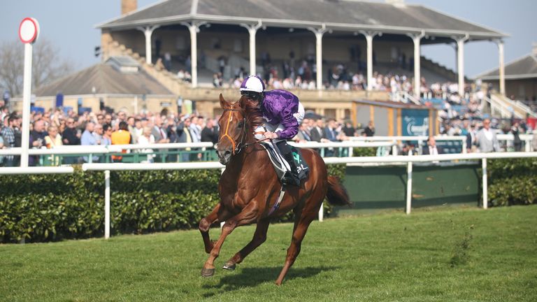 Farsi Force finishes well with his rivals in the Brocklesby Stakes in Doncaster