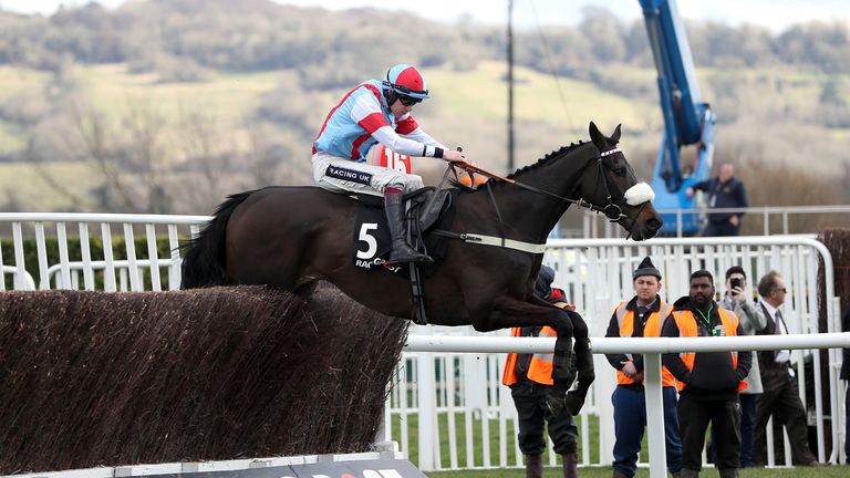 St Calvados looks set to head to Cheltenham's Ryanair chase after Saturday's Ascot Chase