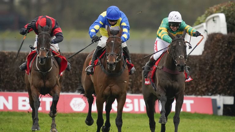 Chan Bleu was narrowly beaten by Sporting Gun