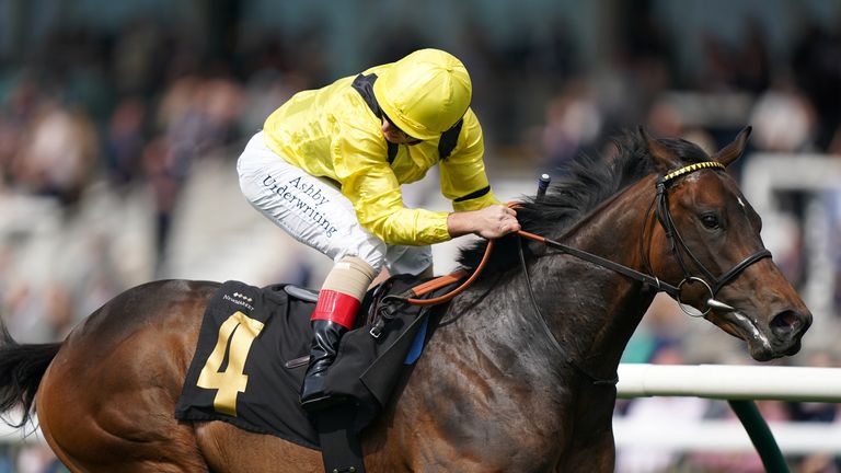 Andrea Atzini casts a timid look at his defeated rivals in Taj Allah