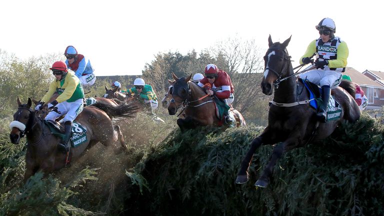 Tiger Roll (C) jumps Brock Beecher on his way to victory in 2018