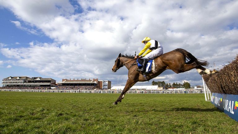WIn My Wings takes last place in the Scottish National League in Ayr